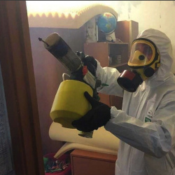 Уничтожение клопов в квартире. Муром